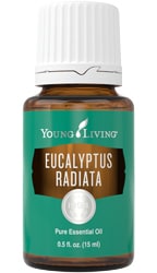 Eucalyptus Radiata Essential Oil