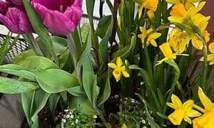 Spring is Here! Awaken Your Mind!